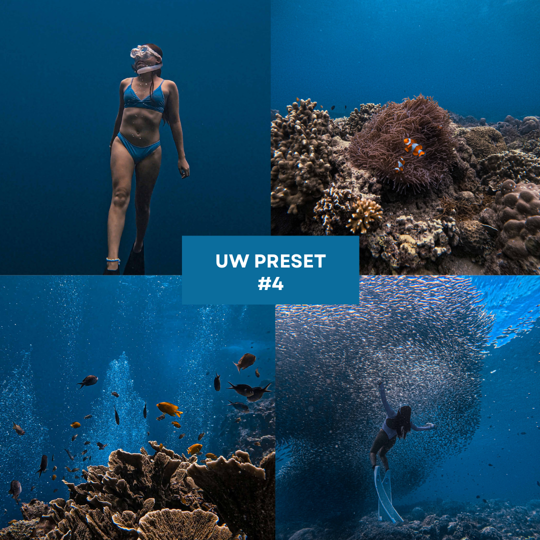 PRESET Collection - Travel & Underwater Bundle